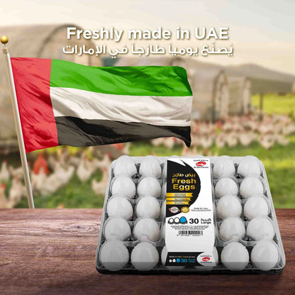 Egg Al Ain 30 egg in 1 Tray