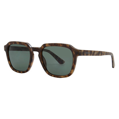 Green Square Men's Sunglasses