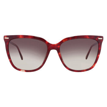 Grey Gradient Butterfly Ladies Sunglasses