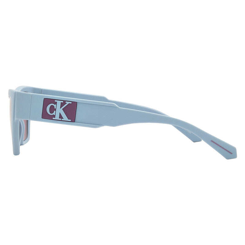 Violet Cat Eye Ladies Sunglasses