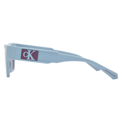 Violet Cat Eye Ladies Sunglasses