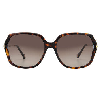 Brown Gradient Butterfly Ladies Sunglasses