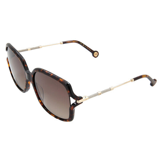 Brown Gradient Butterfly Ladies Sunglasses