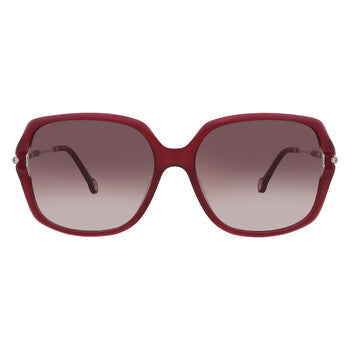 Brown Gradient Butterfly Ladies Sunglasses