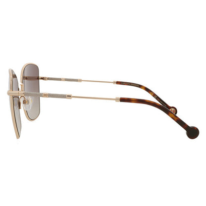 Brown Gradient Butterfly Ladies Sunglasses