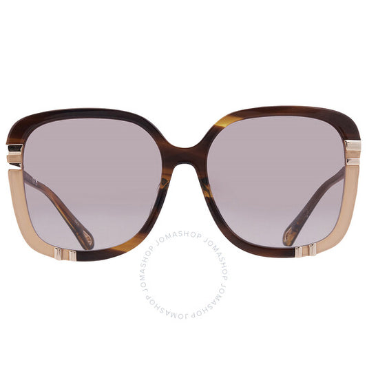 ChloÃ©, Brown Square Ladies Sunglasses