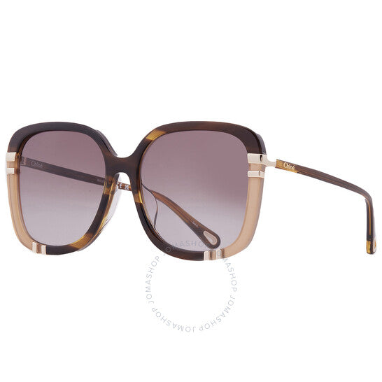 ChloÃ©, Brown Square Ladies Sunglasses