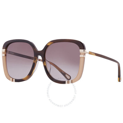 ChloÃ©, Brown Square Ladies Sunglasses