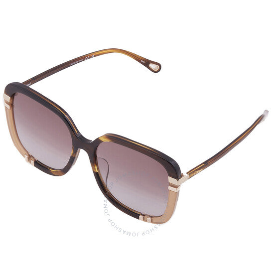 ChloÃ©, Brown Square Ladies Sunglasses