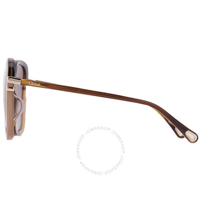 ChloÃ©, Brown Square Ladies Sunglasses