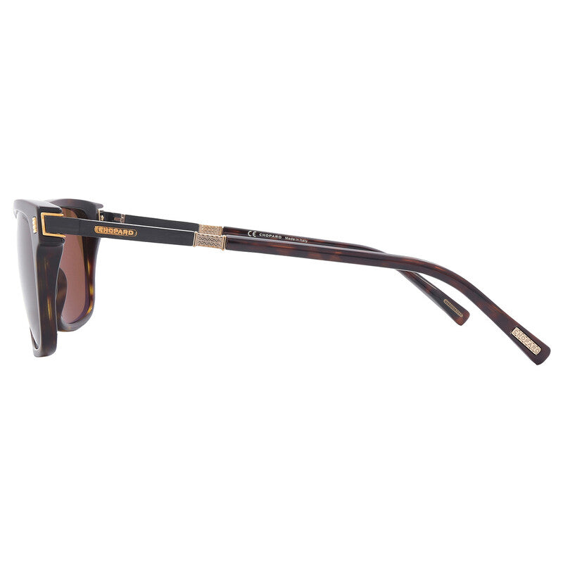 Brown Square Men's Sunglasses
