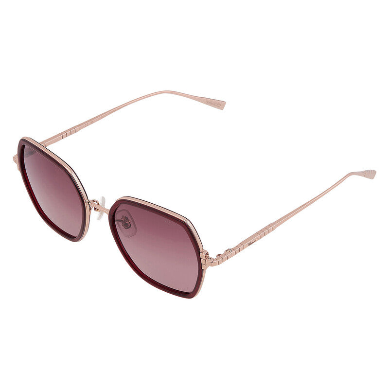 Burgundy Butterfly Ladies Sunglasses