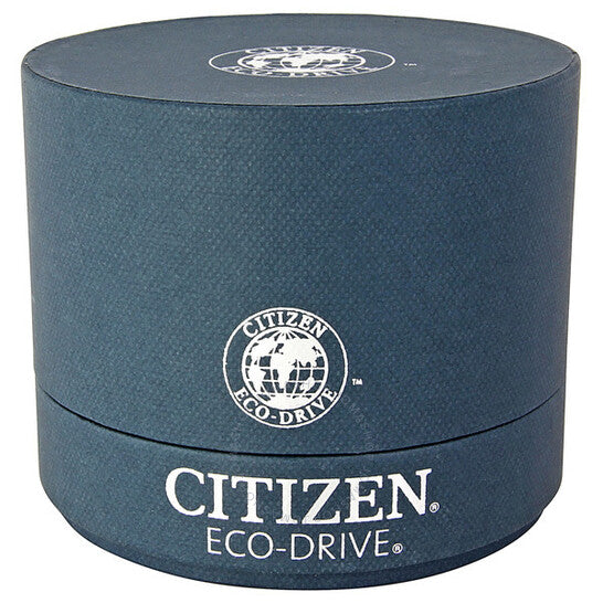 Citizen, Eco Drive Black Dial Two Tone Men's Watch
