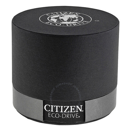 Citizen, Eco-Drive Perpetual Calendar Chronograph Atomic Synchronization Men's Watch