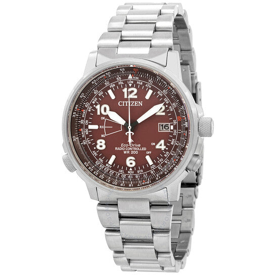 المواطن، ساعة التوقيت العالمي الدائمة