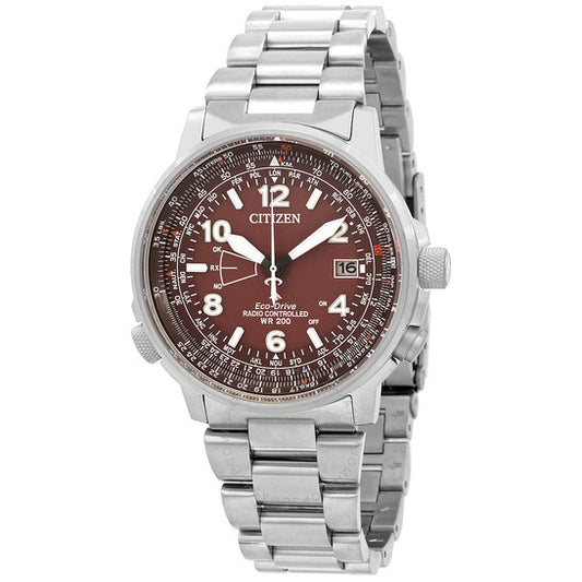 المواطن، ساعة التوقيت العالمي الدائمة