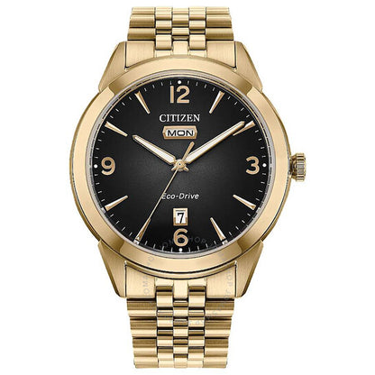 Citizen, Rolan Men's Watch