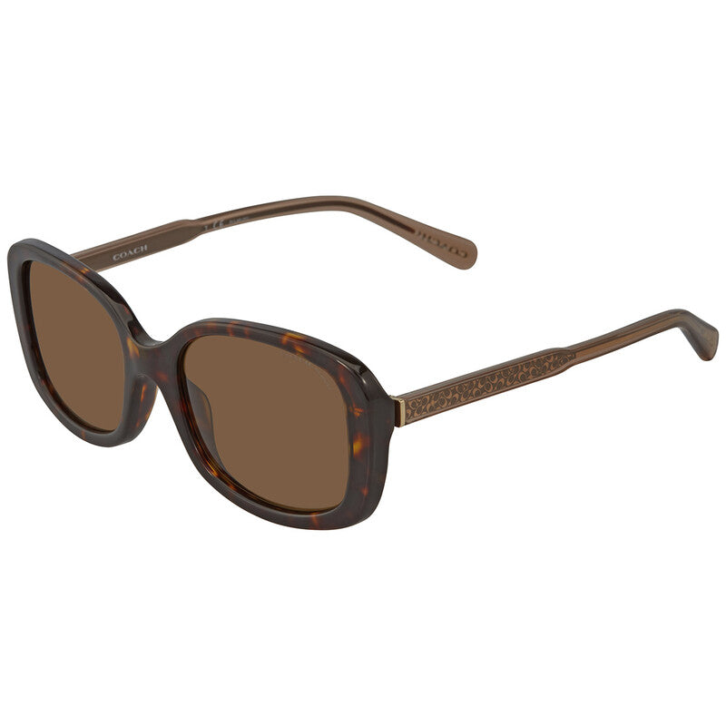 Brown Rectangular Ladies Sunglasses