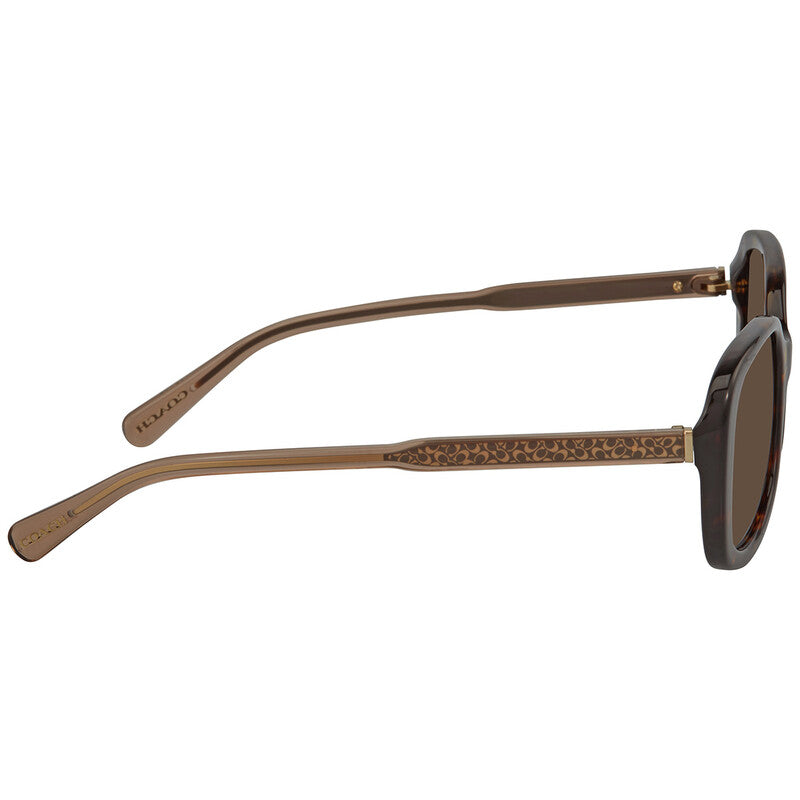 Brown Rectangular Ladies Sunglasses
