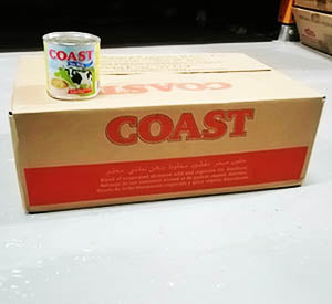 Coast Evaporated Milk 170 gm