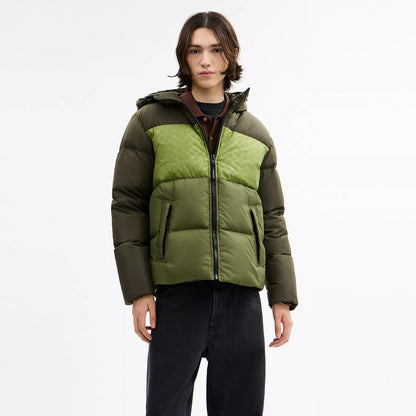 colorblock down jacket