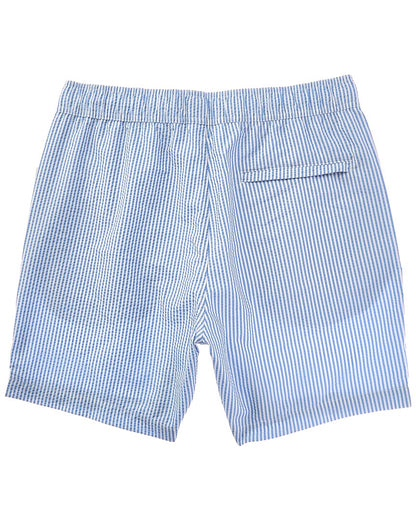 classic seersucker swim short