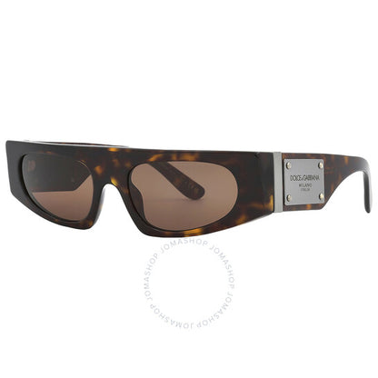 Dolce & Gabbana, Dark Brown Browline Ladies Sunglasses