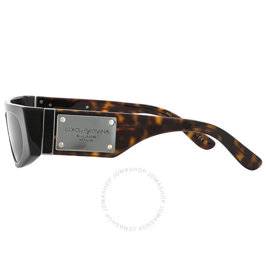 Dolce & Gabbana, Dark Brown Browline Ladies Sunglasses