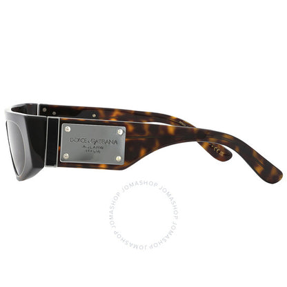 Dolce & Gabbana, Dark Brown Browline Ladies Sunglasses