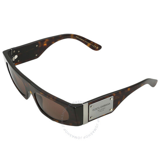 Dolce & Gabbana, Dark Brown Browline Ladies Sunglasses