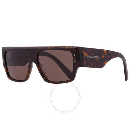 Dolce & Gabbana, Dark Brown Browline Ladies Sunglasses