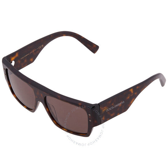 Dolce & Gabbana, Dark Brown Browline Ladies Sunglasses