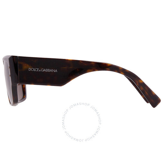 Dolce & Gabbana, Dark Brown Browline Ladies Sunglasses
