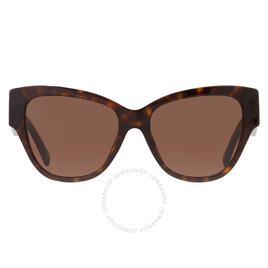 Dolce & Gabbana, Dark Brown Butterfly Ladies Sunglasses