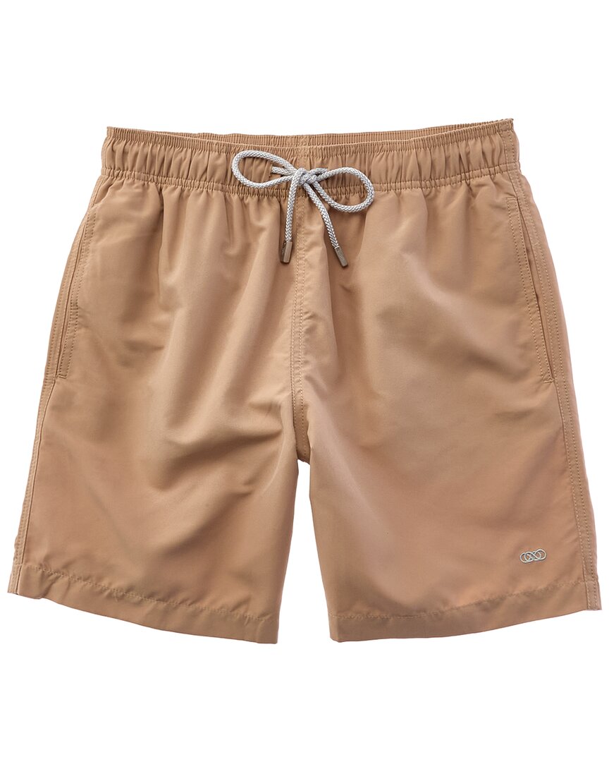 Small - brown
