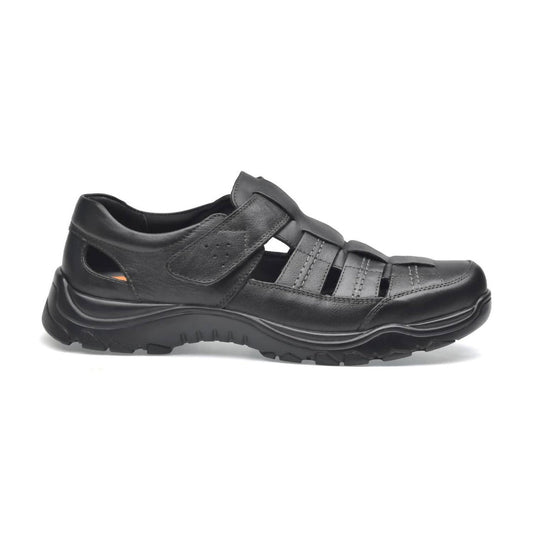 US 12 - black