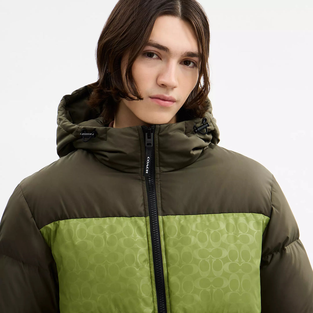colorblock down jacket