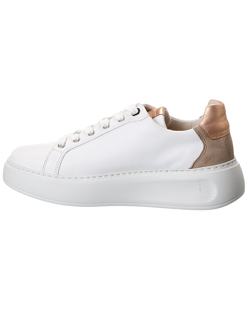 leather sneaker