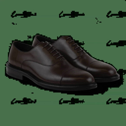 men's diogenes shoe in brown