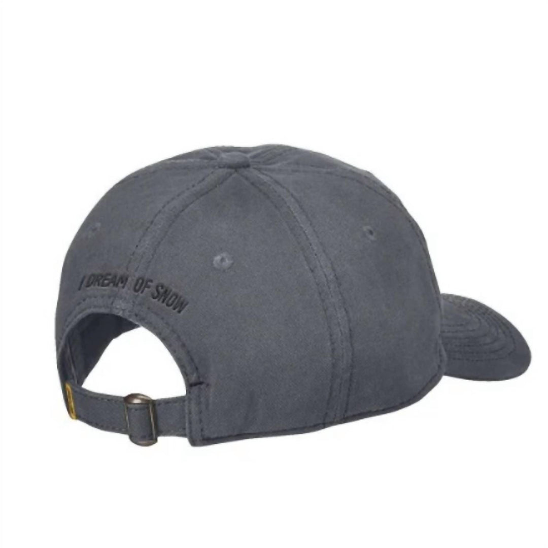 men's i dream of snow adjustable baseball cap dad hat in gray