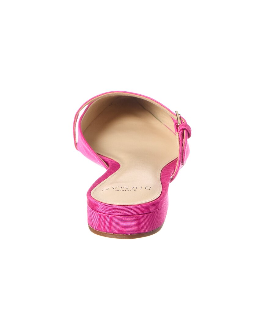 jazzie flat