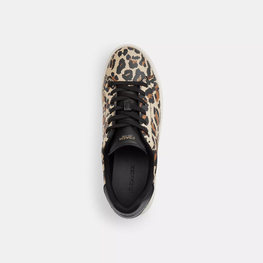 high line sneaker with leopard print