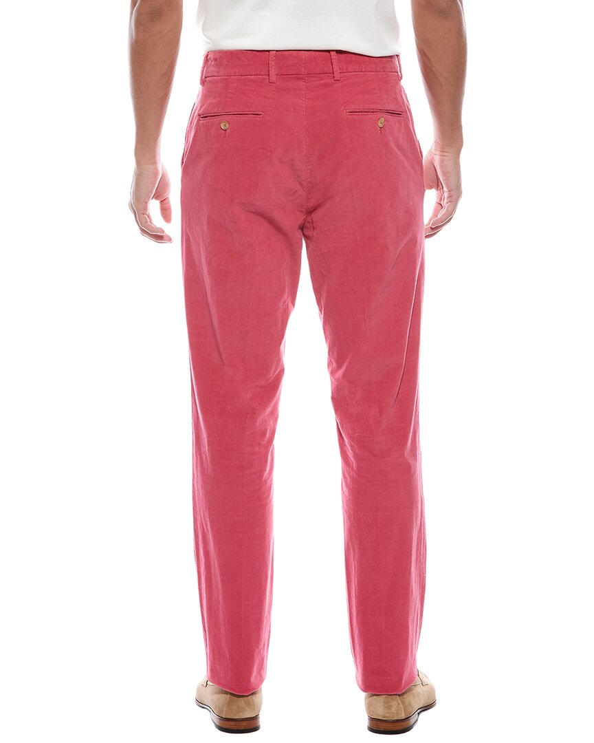 oxford pant