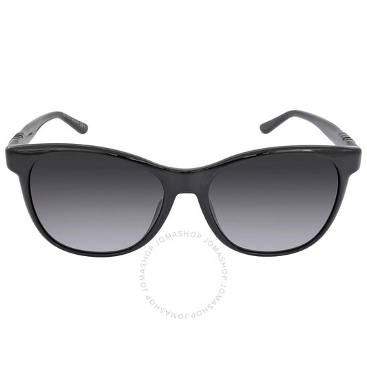 Jimmy Choo, Dark Grey Gradient Butterfly Ladies Sunglasses
