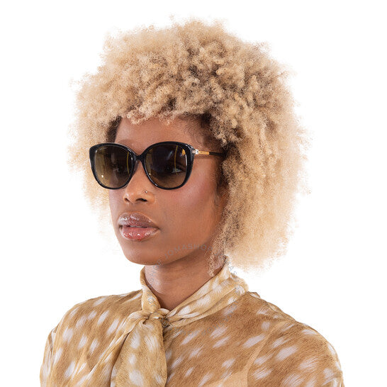 Jimmy Choo, Grey Gradient Cat Eye Ladies Sunglasses