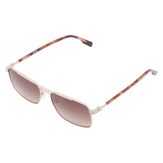 Brown Gradient Navigator Men's Sunglasses