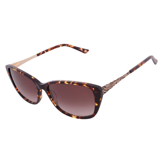 Brown Gradient Cat Eye Ladies Sunglasses