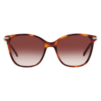 Brown Gradient Square Ladies Sunglasses