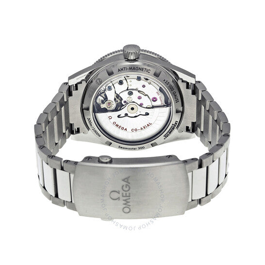 Omega, Seamaster 300 Master Co-Axial Men's Watch