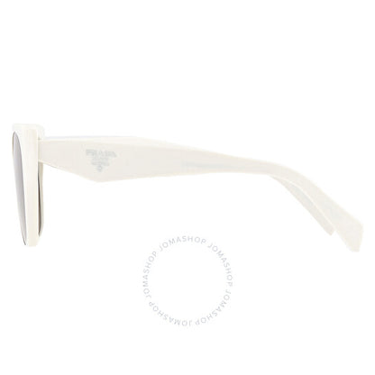 Prada, Grey Butterfly Ladies Sunglasses